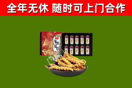 阜平回收冬虫夏草价格